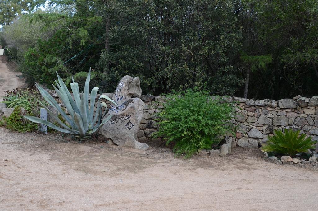 Le Orchidee Hotel Porto Rotondo Exterior foto