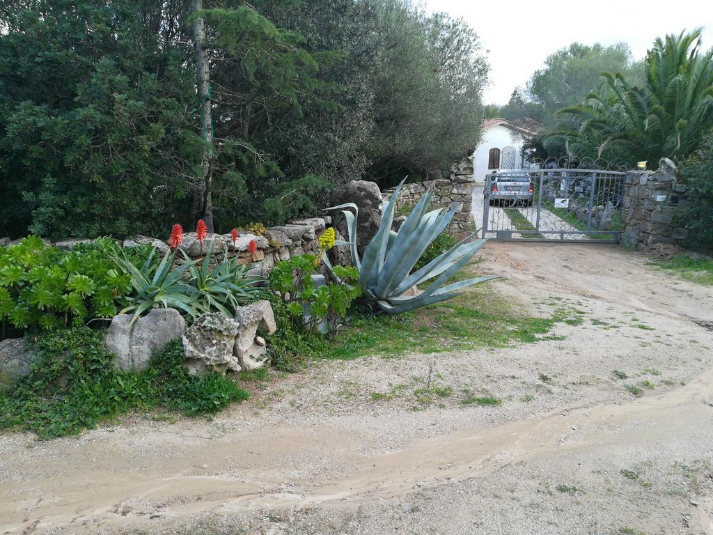 Le Orchidee Hotel Porto Rotondo Exterior foto