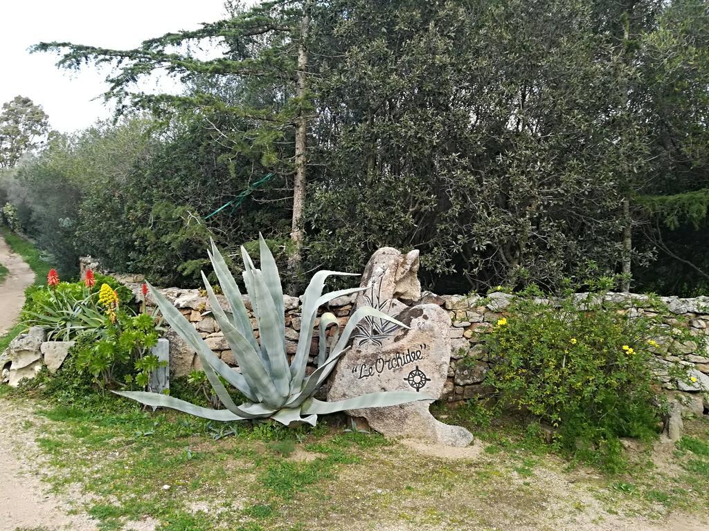 Le Orchidee Hotel Porto Rotondo Exterior foto