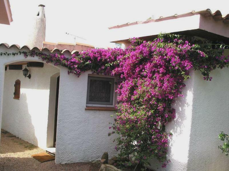 Le Orchidee Hotel Porto Rotondo Exterior foto